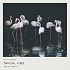 童丽 - 三月里的小雨(DJ知了 FunkyHouse Rmx)